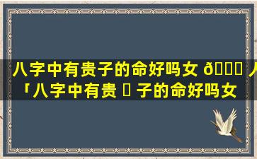 八字中有贵子的命好吗女 💐 人「八字中有贵 ☘ 子的命好吗女人怎么样」